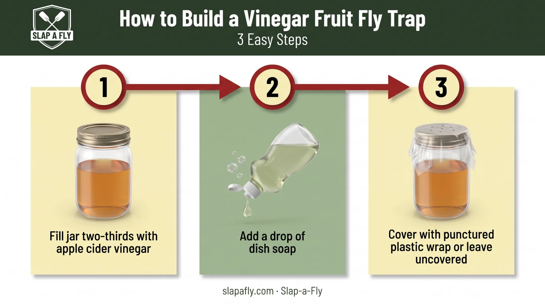 DIY vinegar fruit fly trap assembly steps illustration