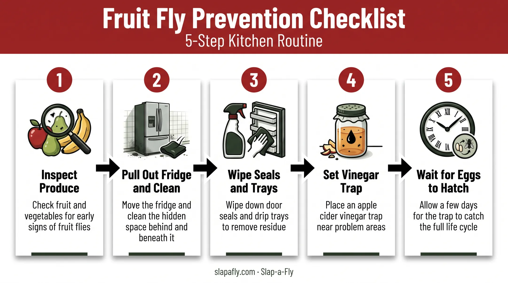 5-step process to eliminate gnats around the refrigerator from inspection to trapping