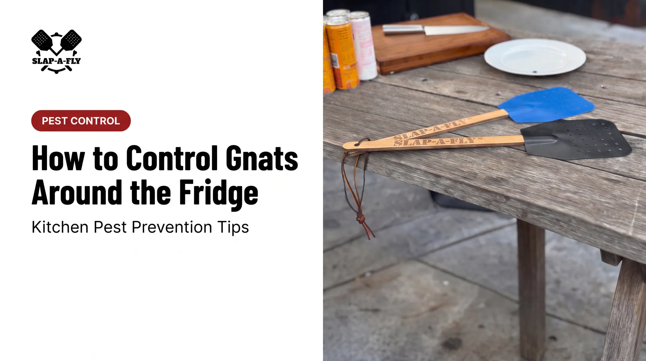 How to Control Gnats Around the Fridge