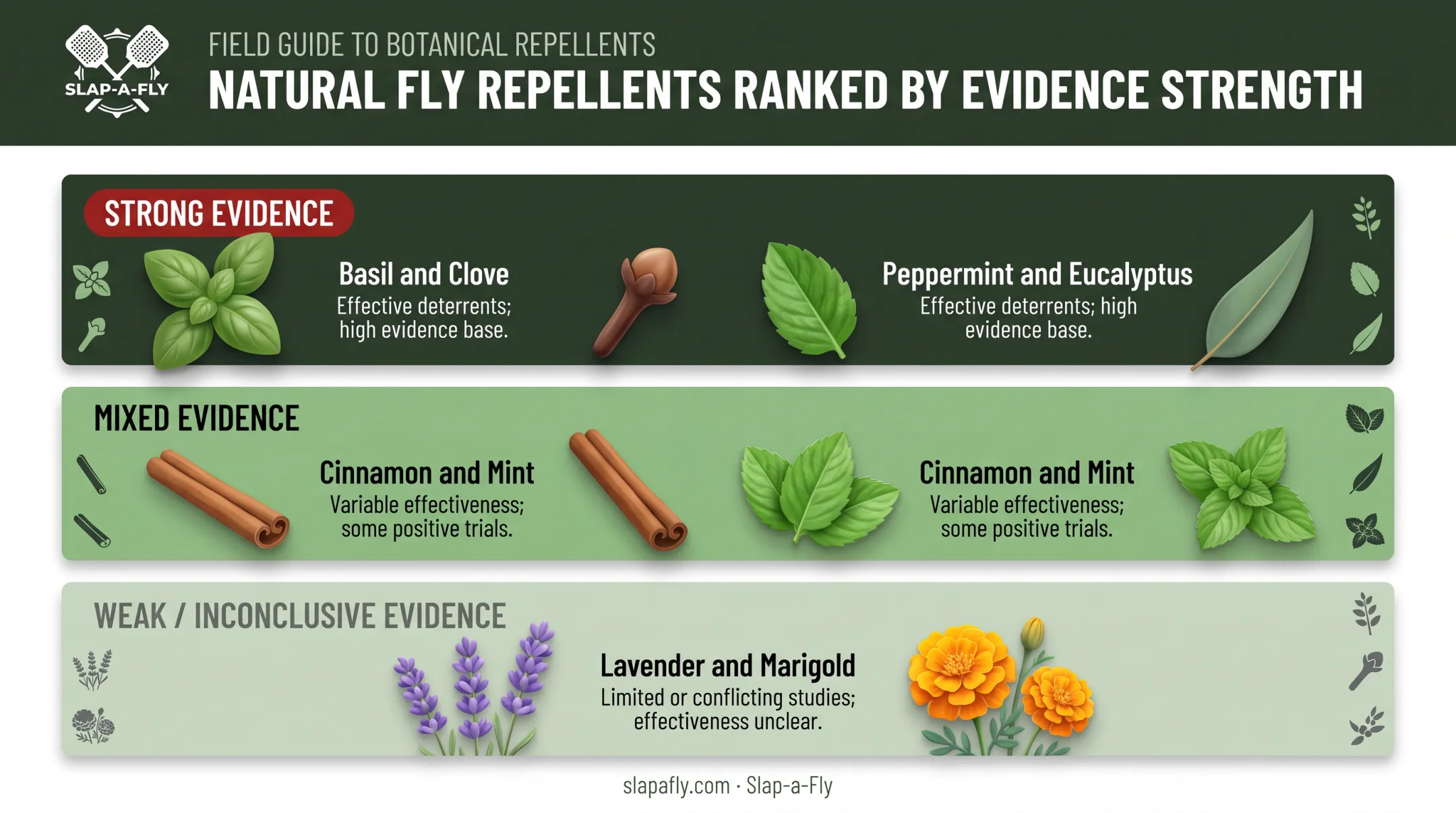 Comparison chart of natural fly-repelling scents ranked by scientific evidence