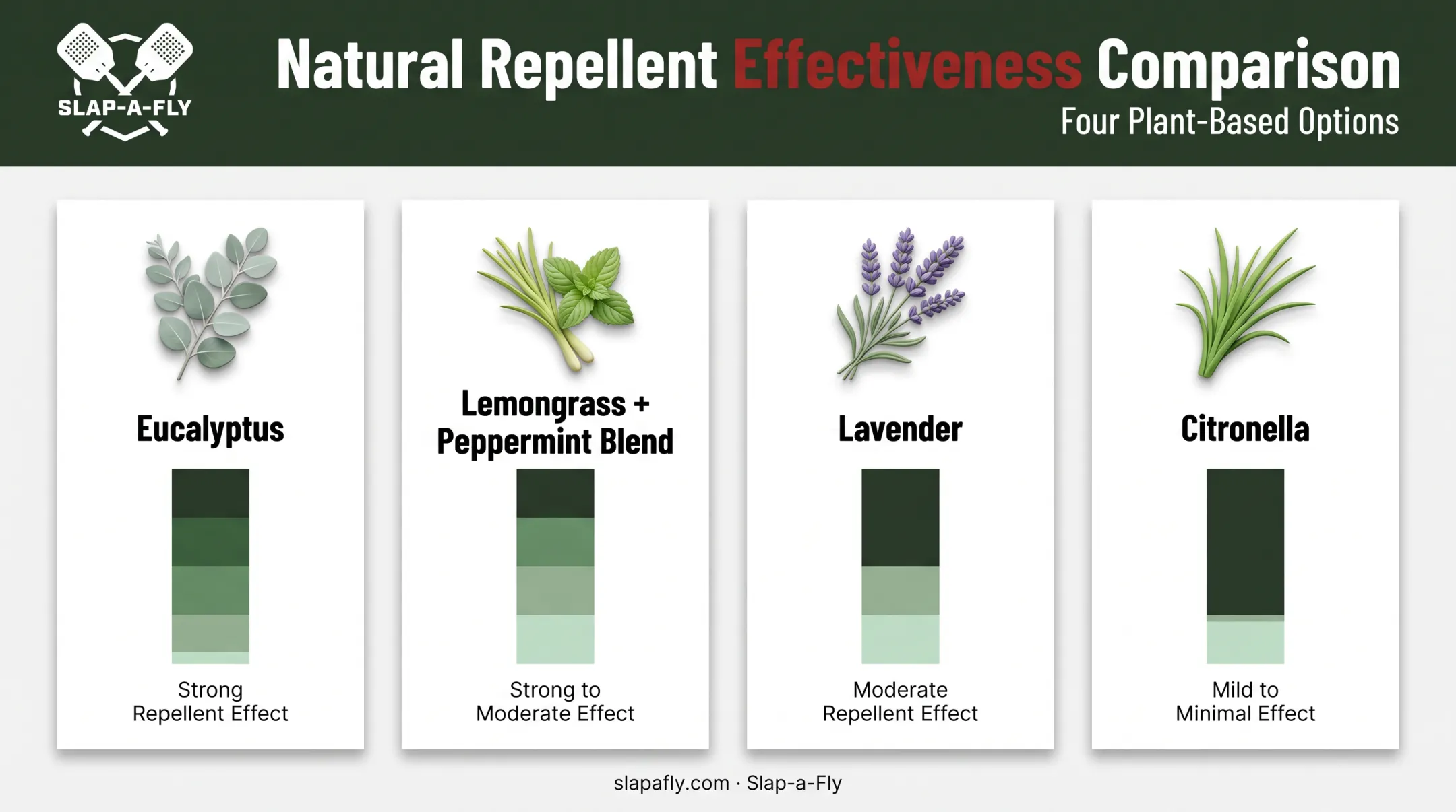 Comparison of natural fly repellent effectiveness eucalyptus lavender citronella lemongrass
