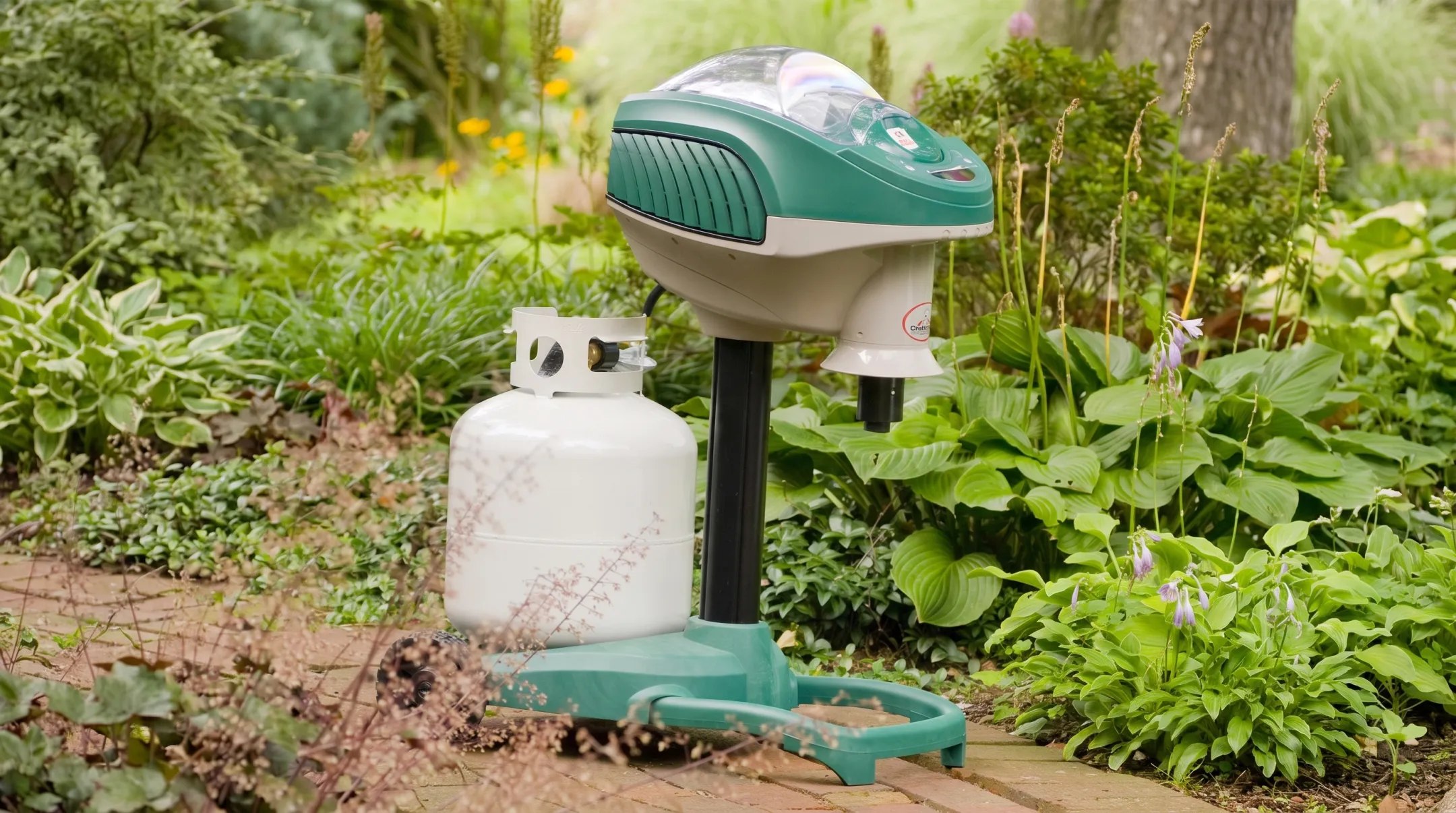 Propane-powered mosquito trap device positioned in backyard setting