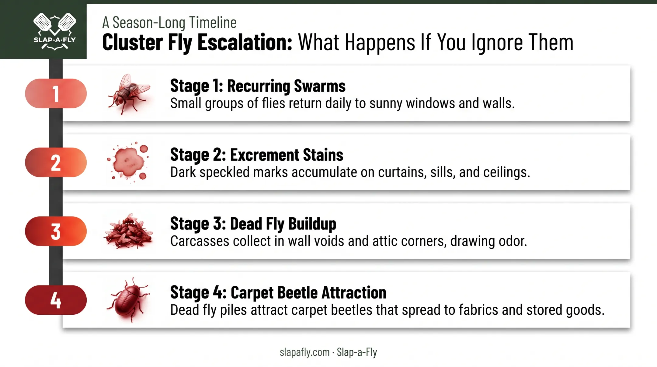 Consequences of ignoring cluster fly infestations over time chart