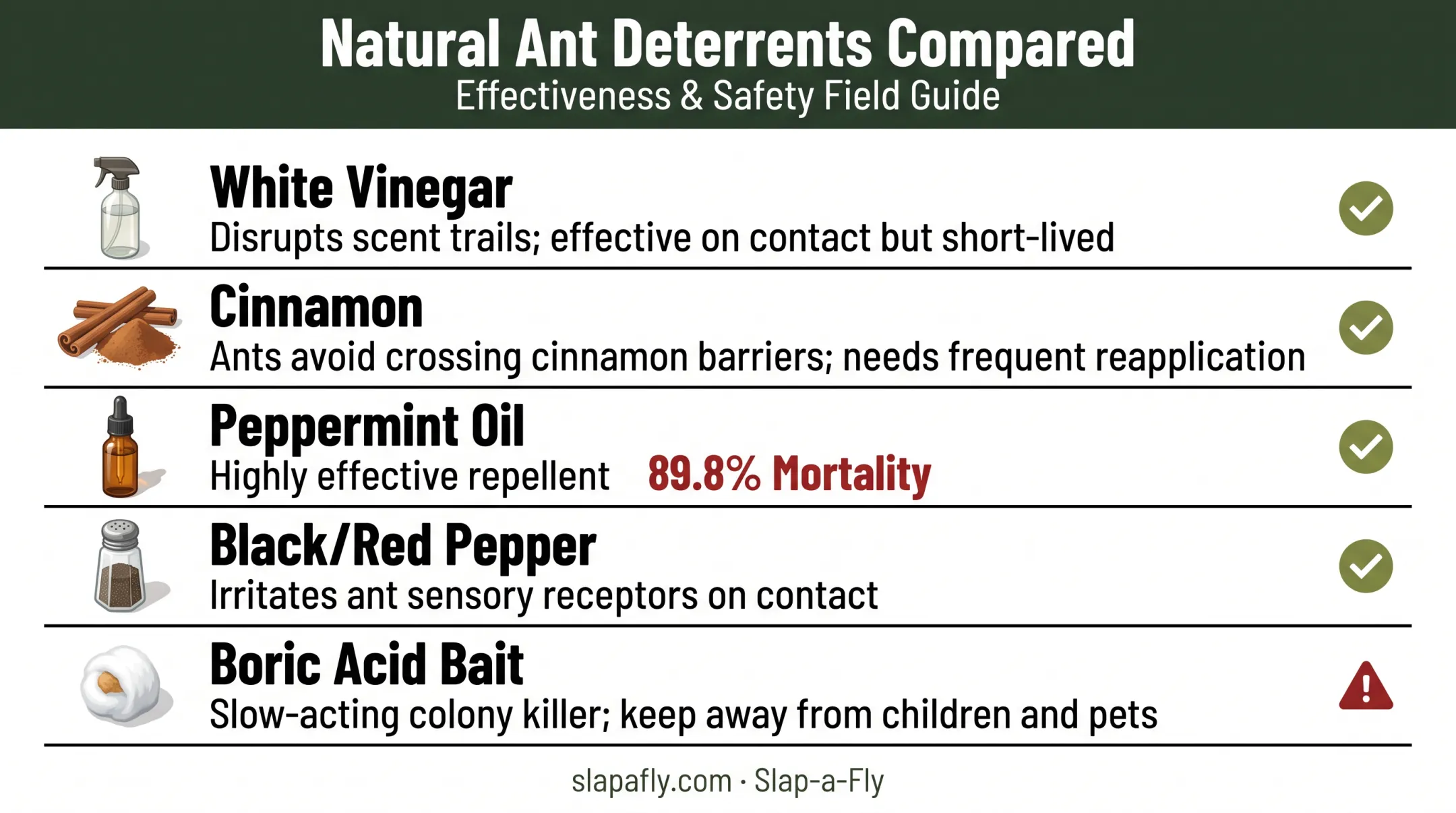 Natural ant deterrents comparison chart with vinegar cinnamon peppermint boric acid