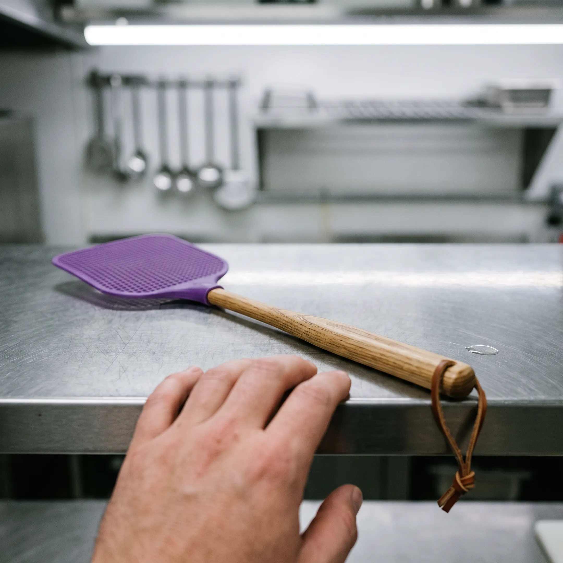 Commercial kitchen pest control