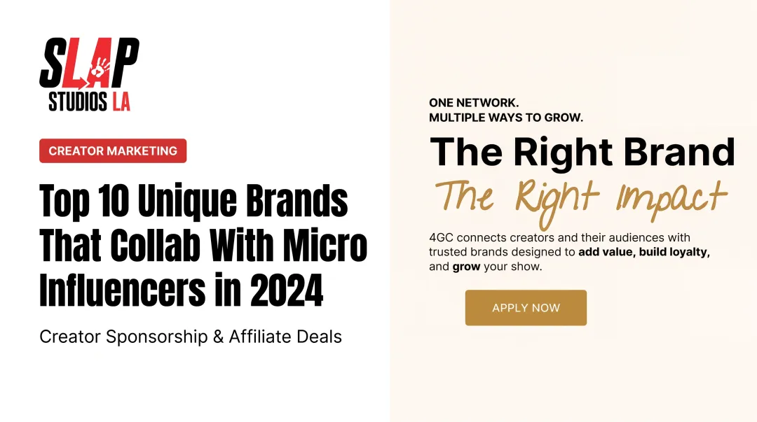 Top 10 Unique Brands That Collab With Micro Influencers in 2024