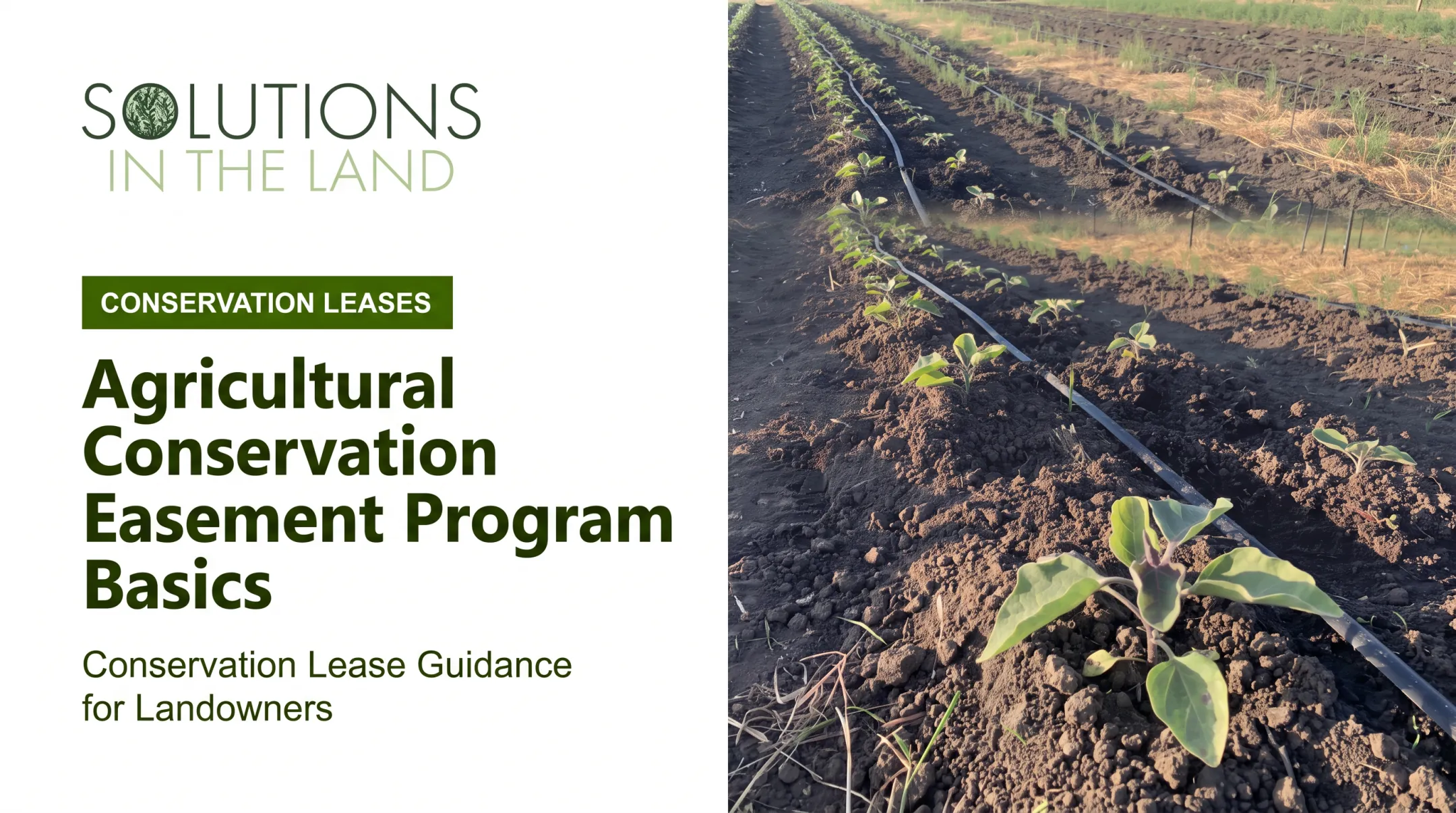 Agricultural Conservation Easement Program Basics