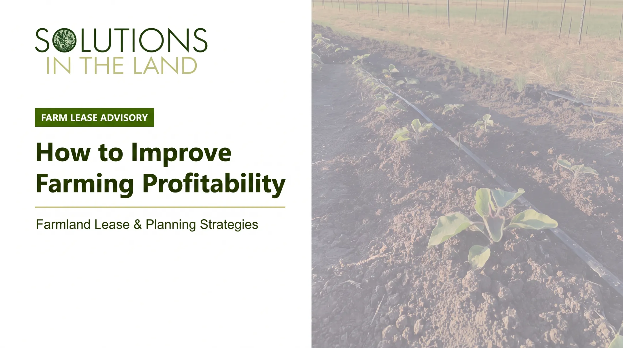 How to Improve Farming Profitability
