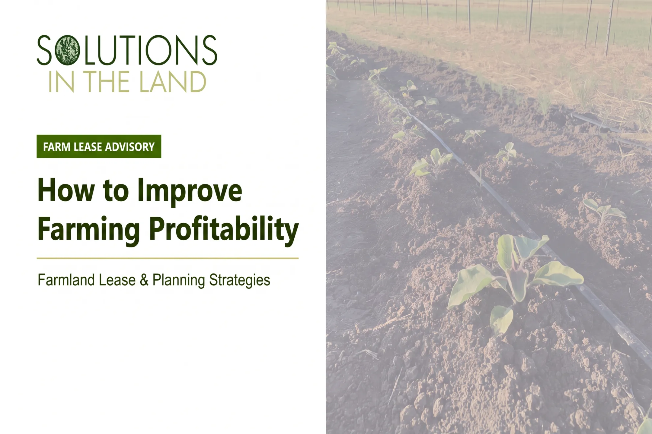 How to Improve Farming Profitability
