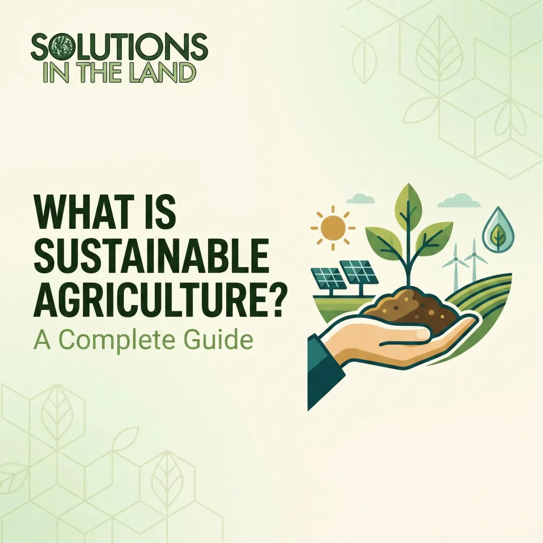 What is Sustainable Agriculture? A Complete Guide