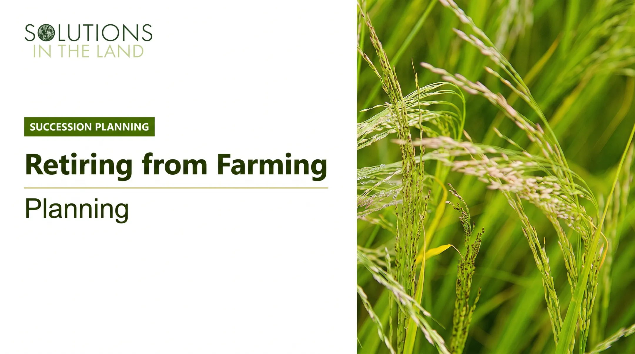 Retiring from Farming: Planning