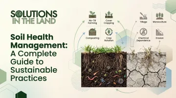 Soil Health Management: A Complete Guide to Sustainable Practices