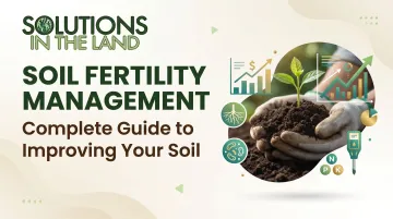 Soil Fertility Management: Complete Guide to Improving Your Soil