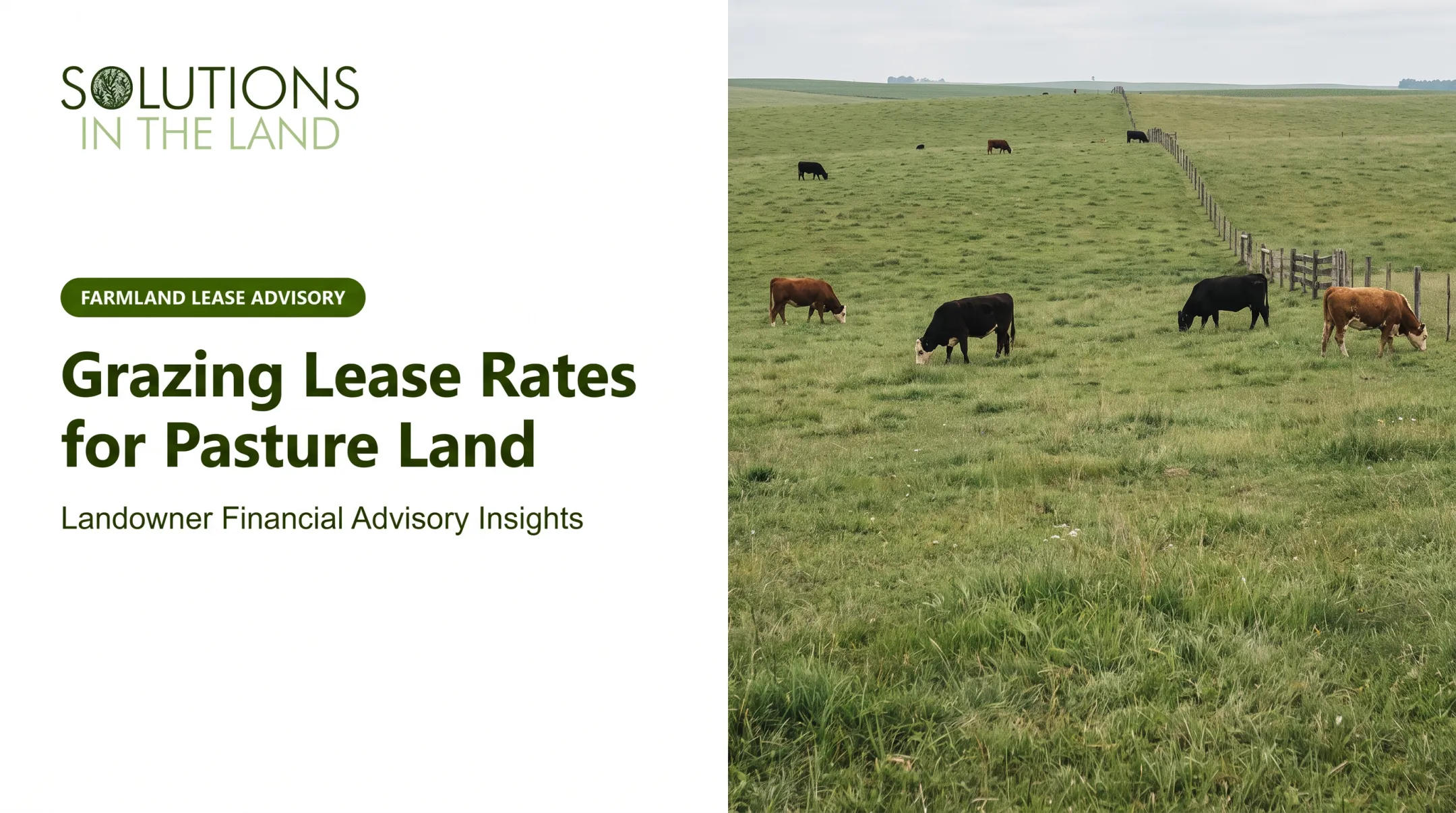 Grazing Lease Rates for Pasture Land