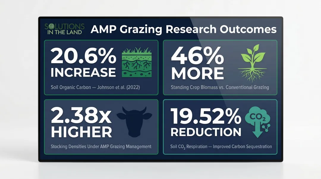 AMP grazing four key research outcomes soil carbon biomass stocking density comparison