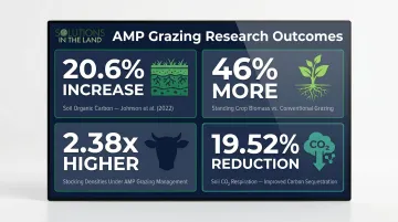 AMP grazing four key research outcomes soil carbon biomass stocking density comparison