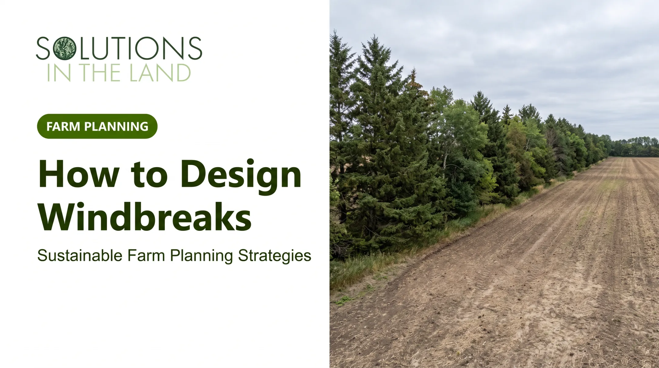 How to Design Windbreaks