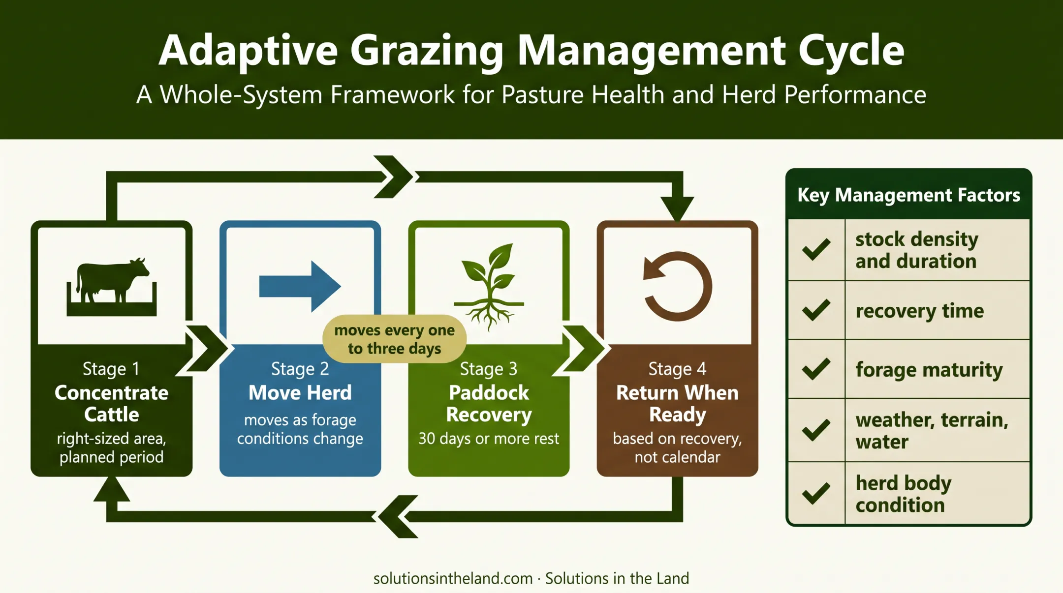 Adaptive multi-paddock grazing cycle with timing and management factors