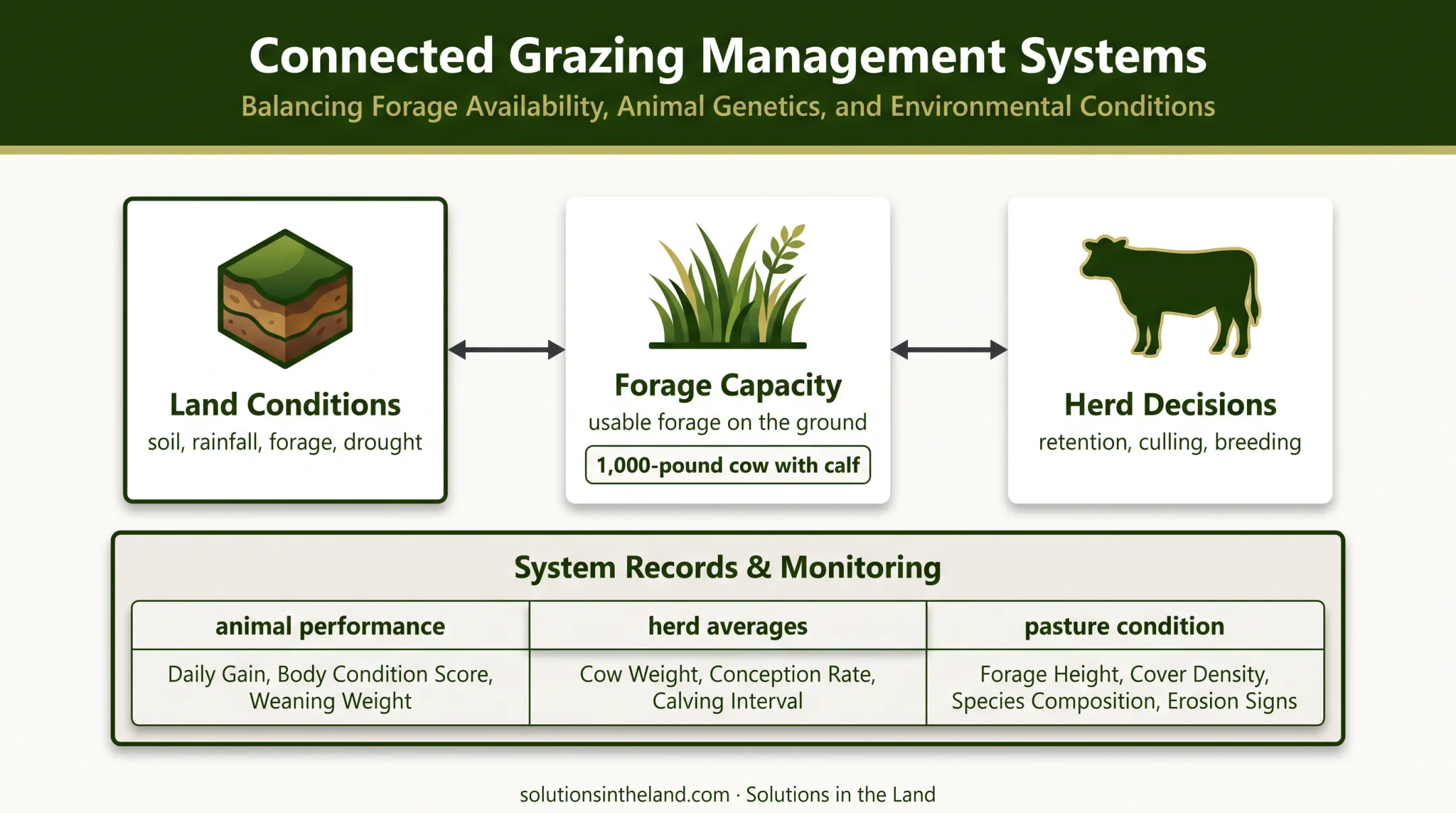 Cattle genetics forage capacity and stocking decision framework