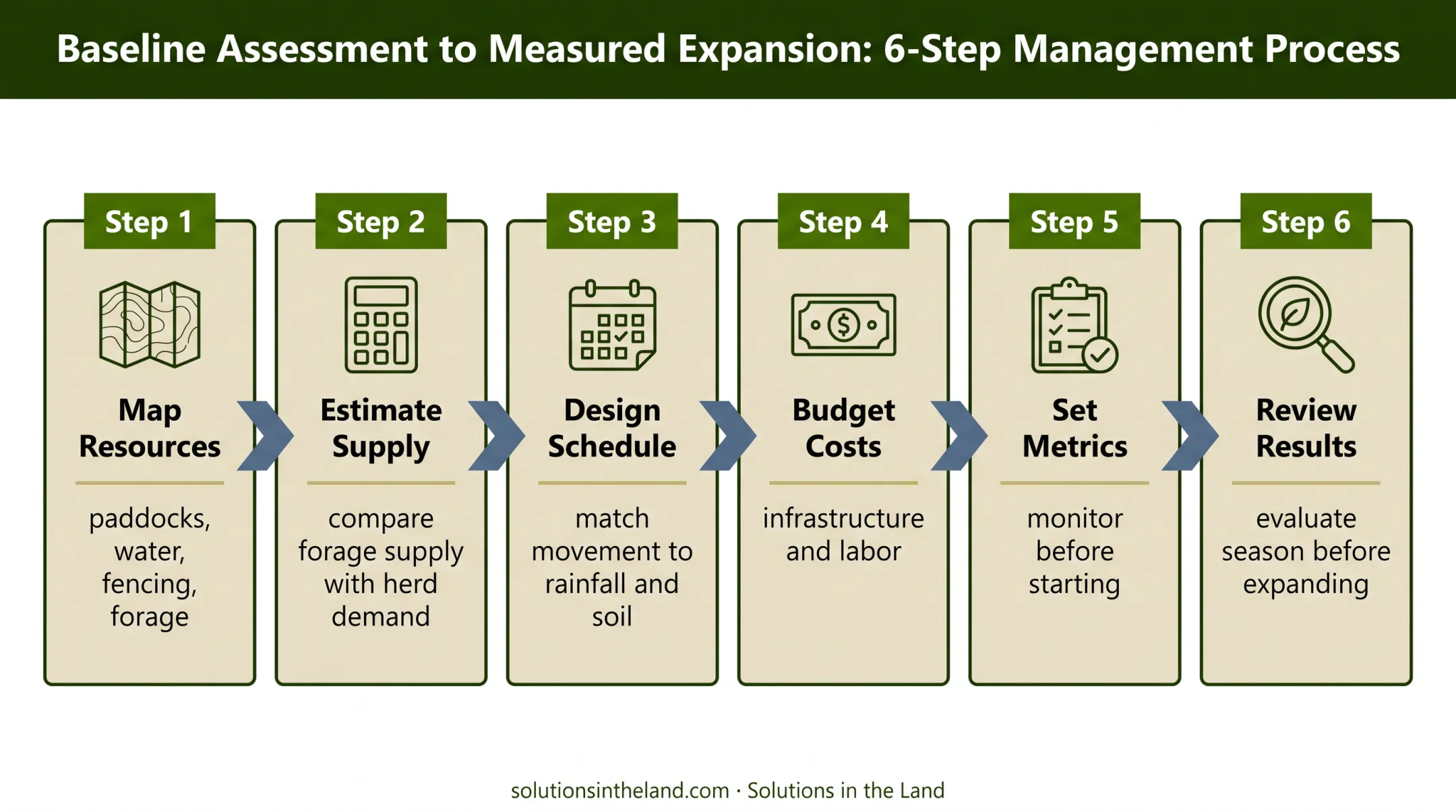 Six-step first-year regenerative cattle farming plan sequence