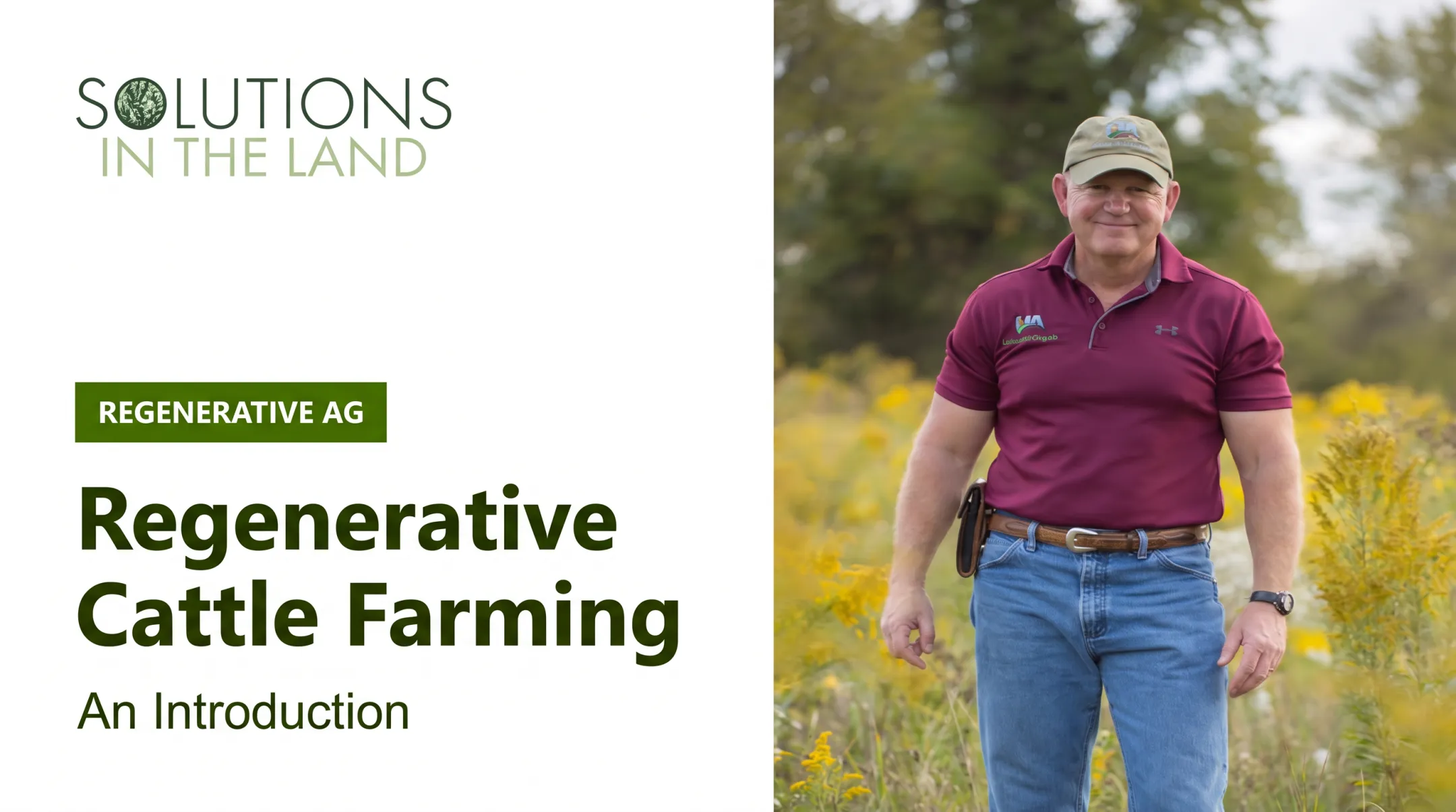 Regenerative Cattle Farming: An Introduction