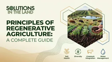 Principles of Regenerative Agriculture: A Complete Guide