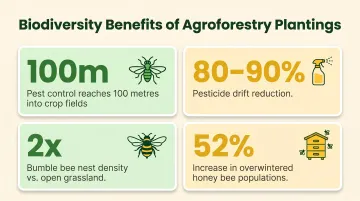 Agroforestry biodiversity benefits showing pollinator and pest suppression statistics