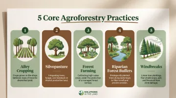 Five USDA-recognized agroforestry practices comparison chart with applications