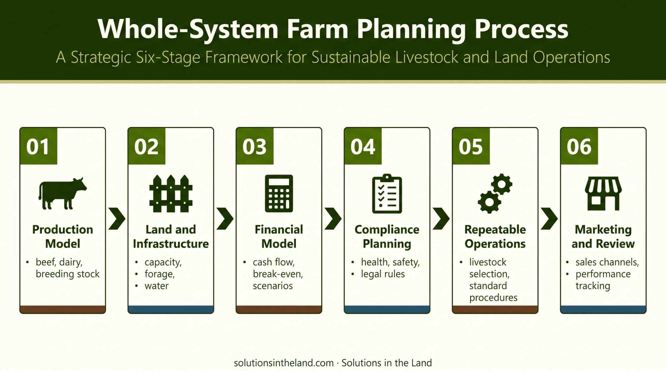 Six-step cow farming business planning process from model selection to review