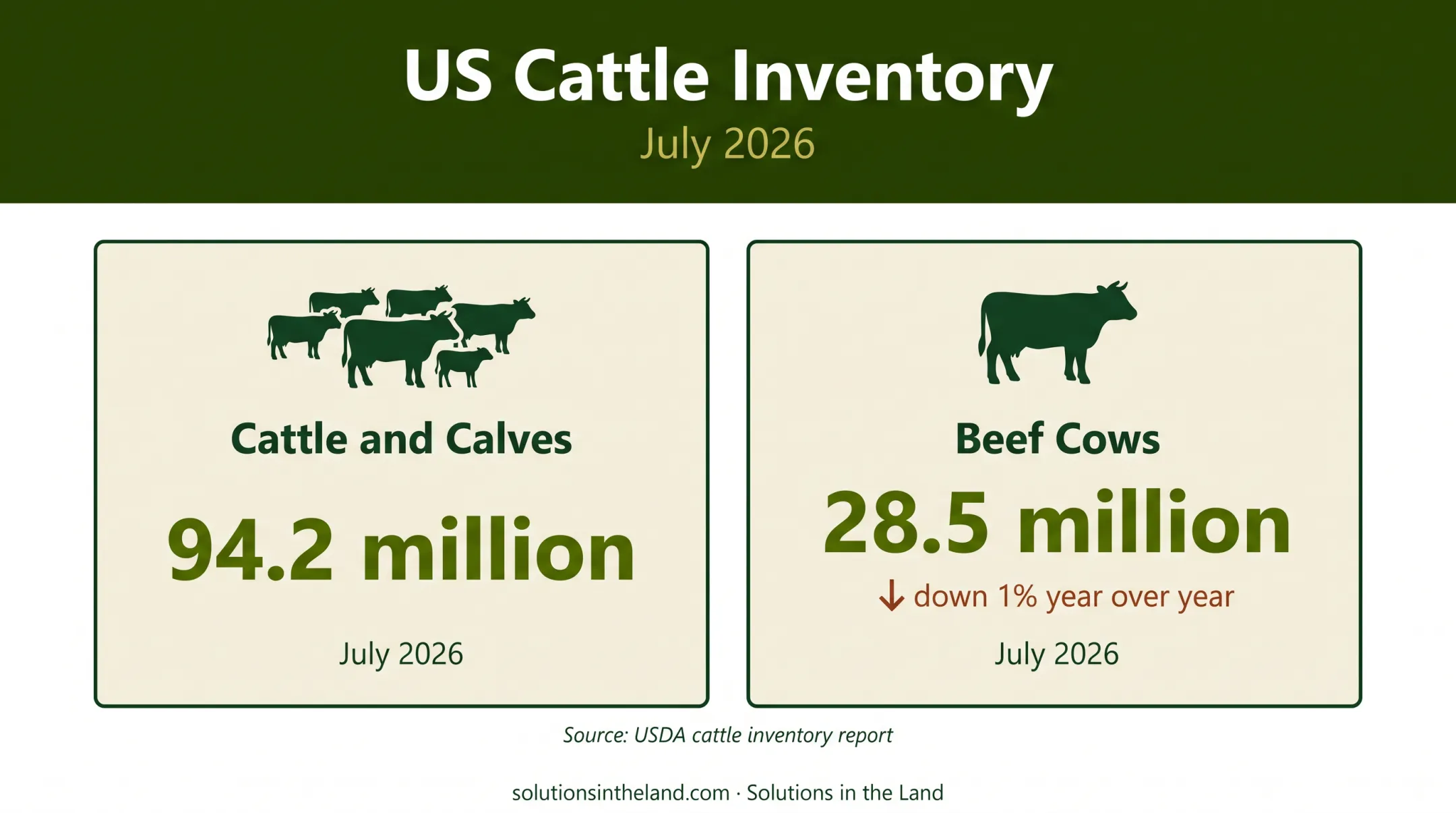 US cattle inventory and beef cow supply statistics comparison
