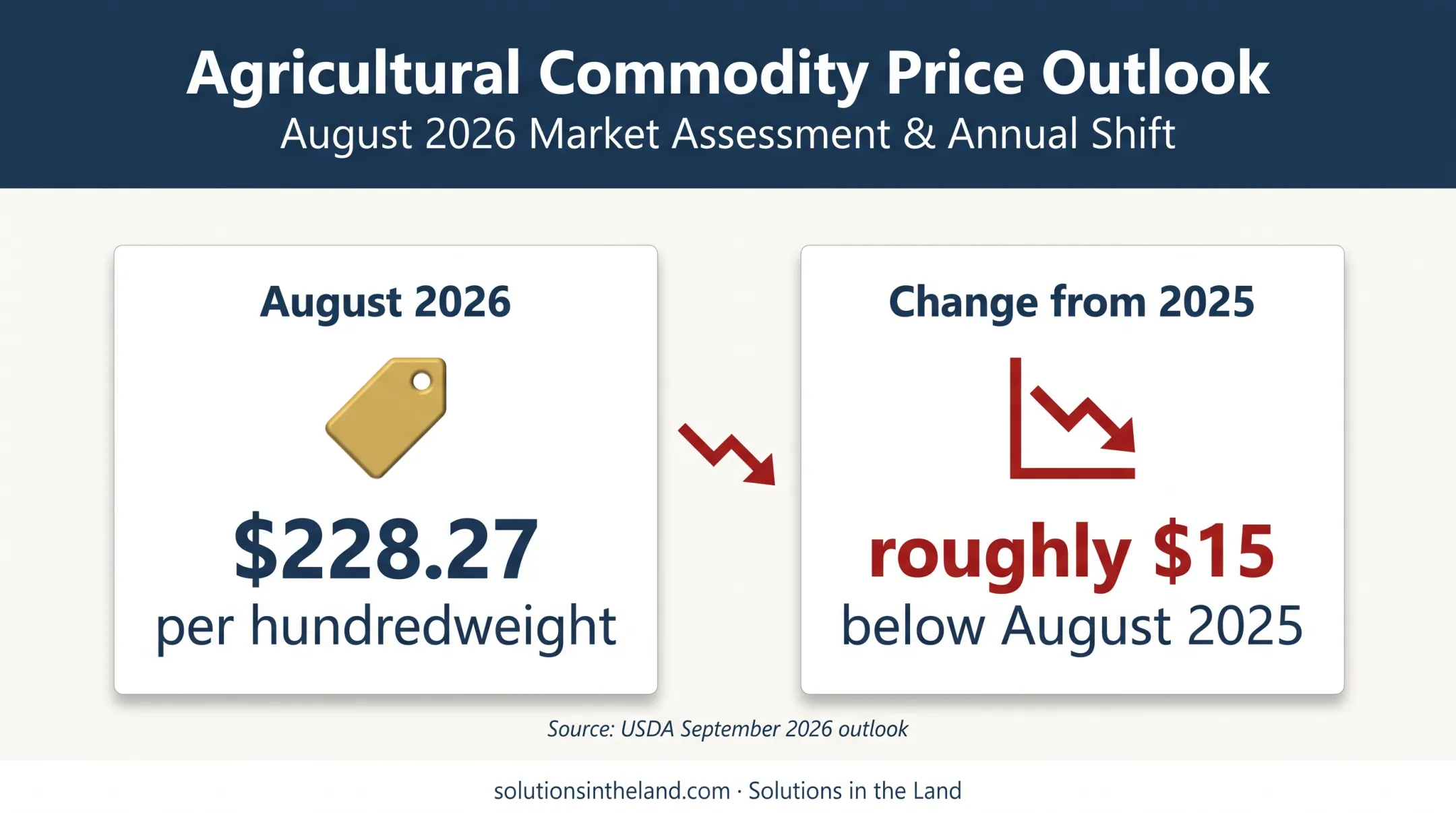 August slaughter steer price change from 2025 to 2026