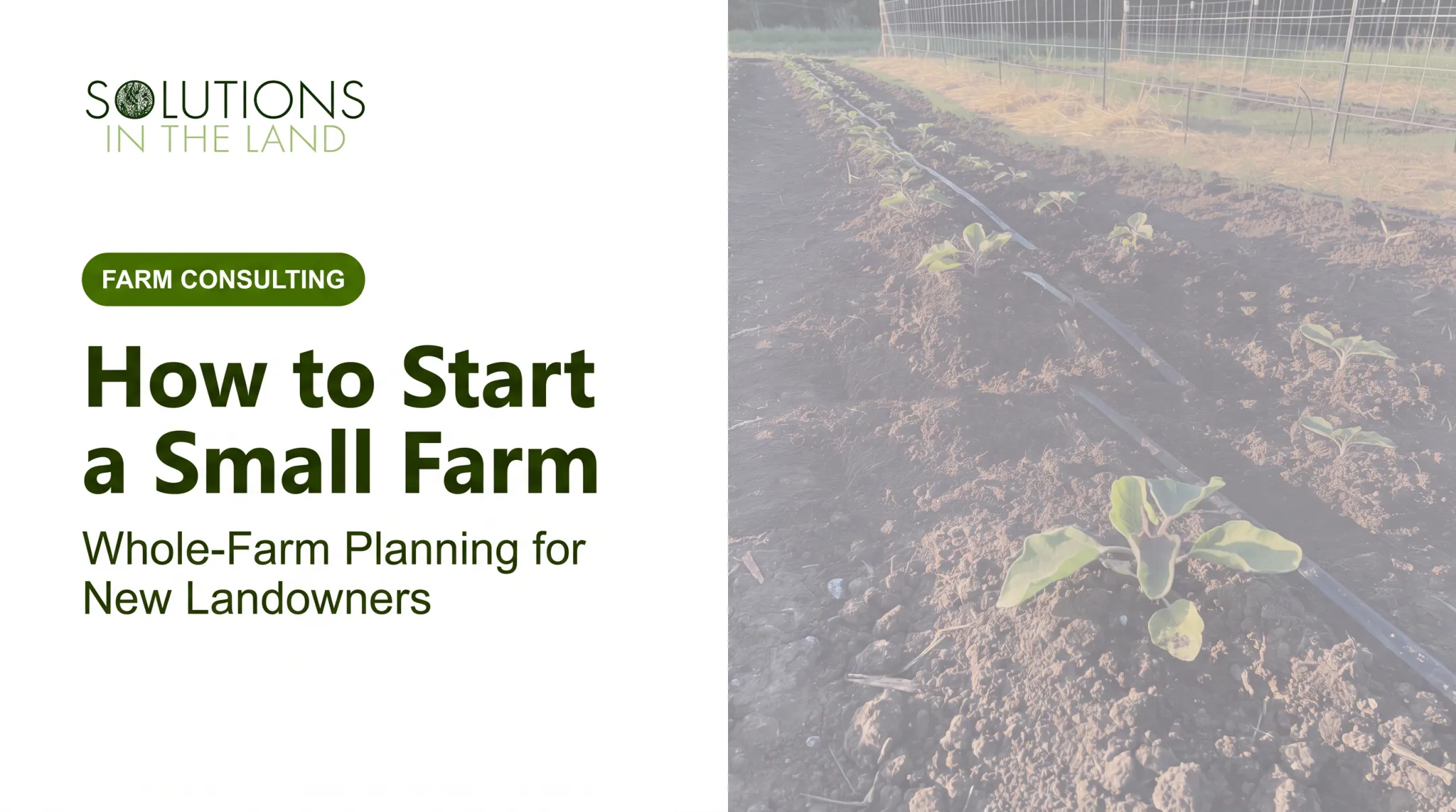 How to Start a Small Farm