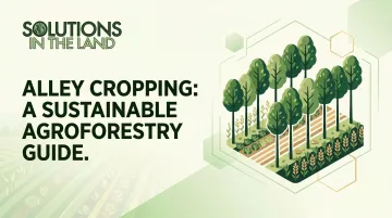 Alley Cropping: A Sustainable Agroforestry Guide