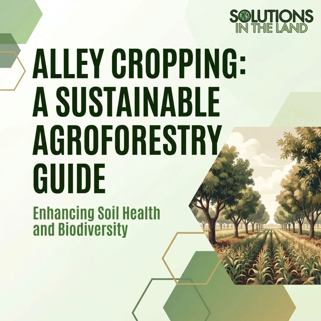 Alley Cropping: A Sustainable Agroforestry Guide