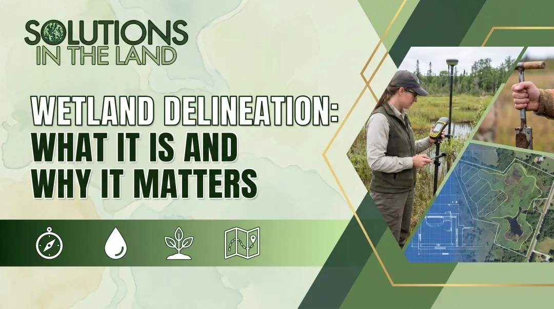 Wetland Delineation: What It Is and Why It Matters