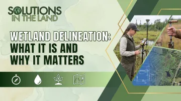 Wetland Delineation: What It Is and Why It Matters