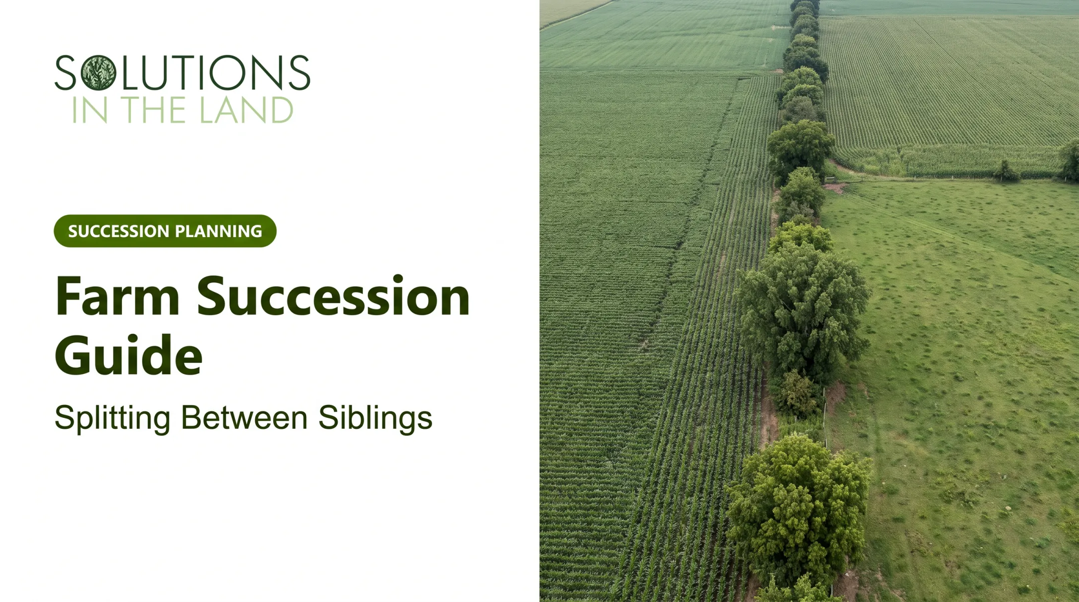 Farm Succession Guide: Splitting Between Siblings