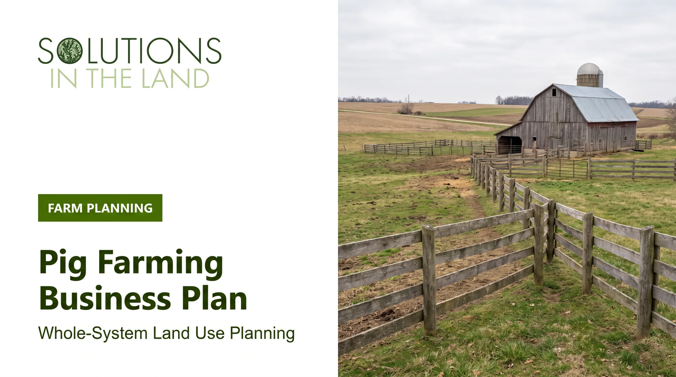 Pig Farming Business Plan