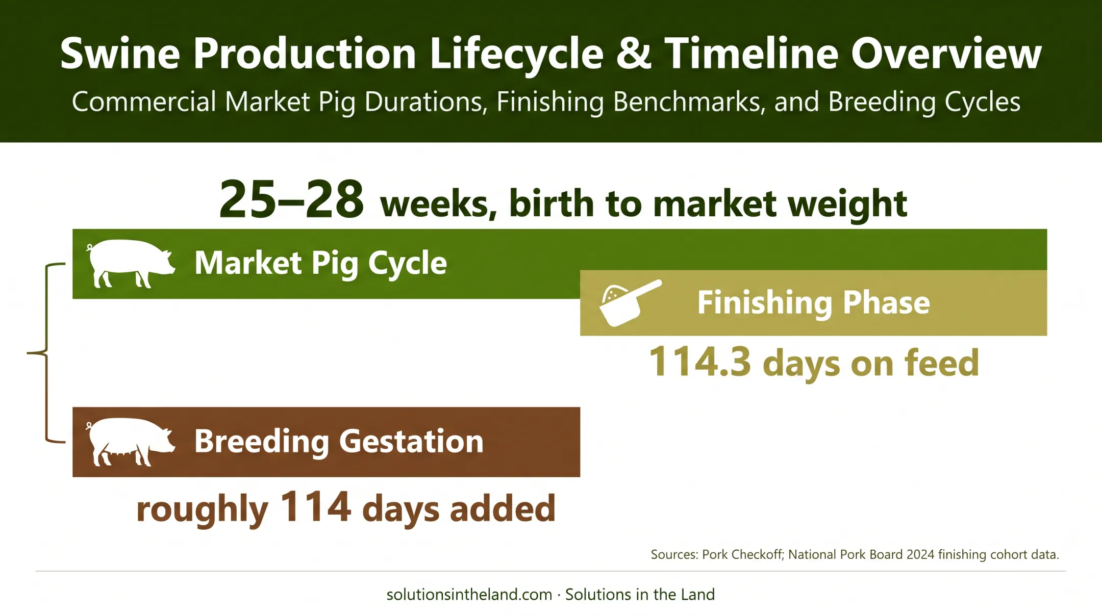 US pig production cycle showing finishing and breeding timelines