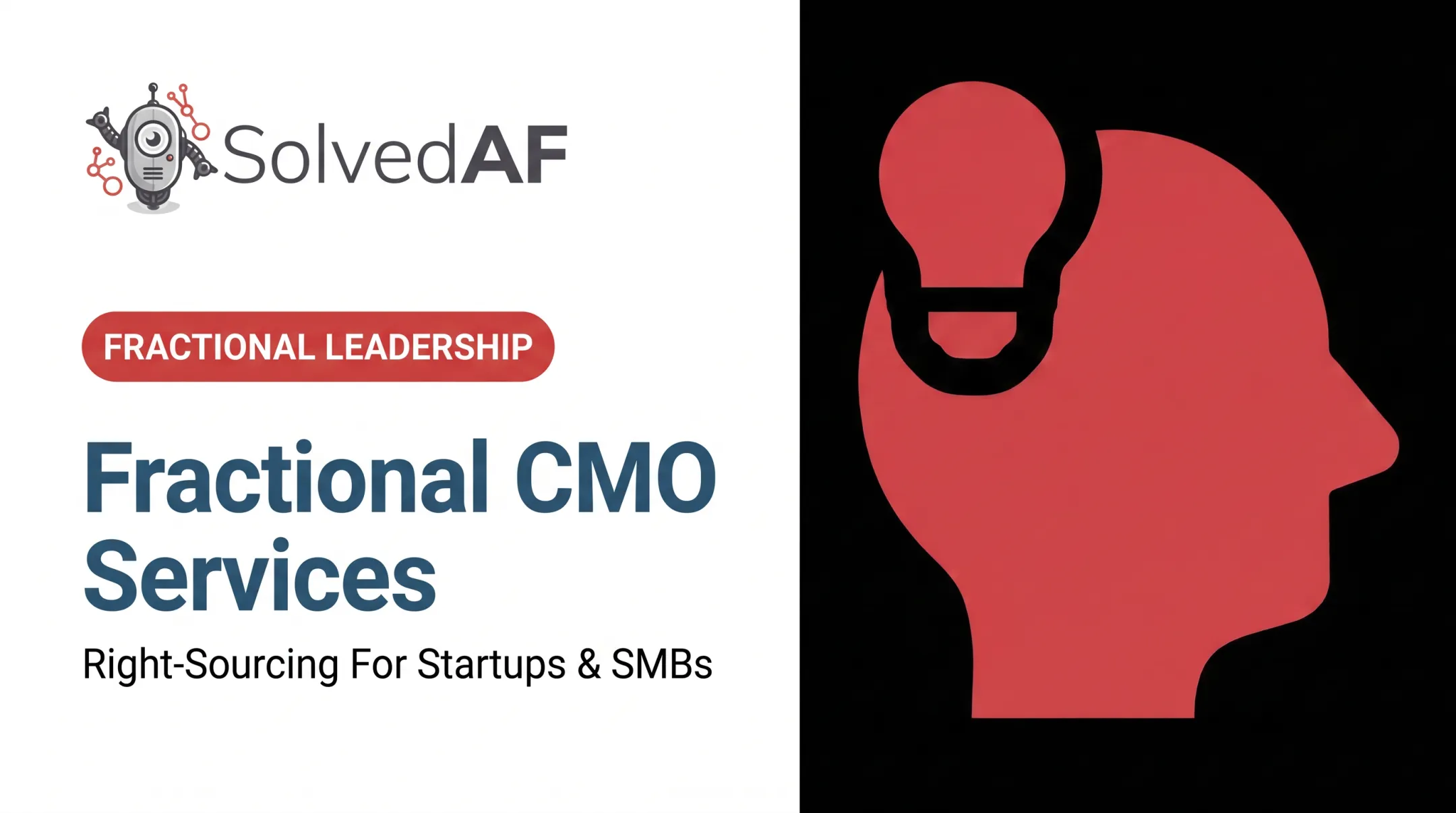 Fractional CMO Services