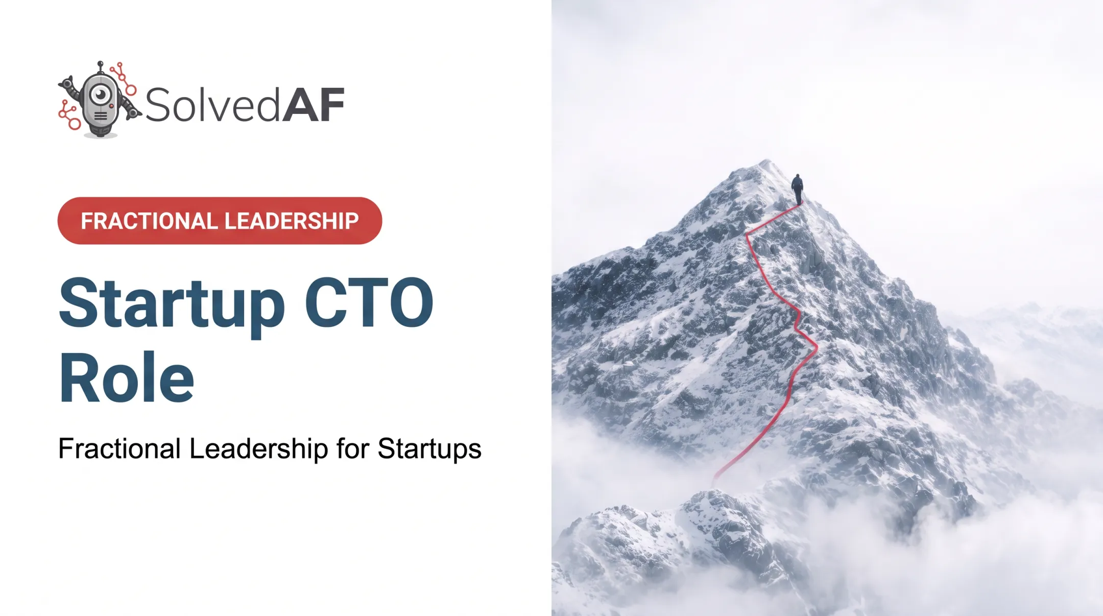 Startup CTO Role