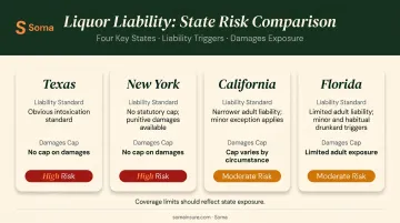 State dram shop law comparison chart showing liability scope and damages caps by state