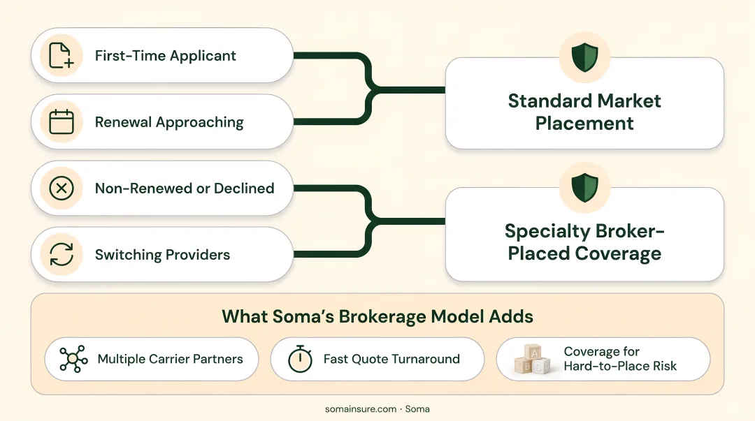 Next Insurance daycare eligibility limits and coverage exclusions overview