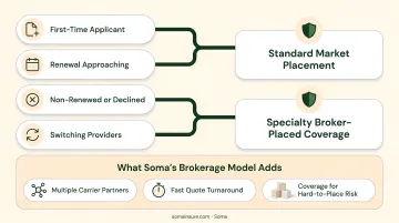 Next Insurance daycare eligibility limits and coverage exclusions overview
