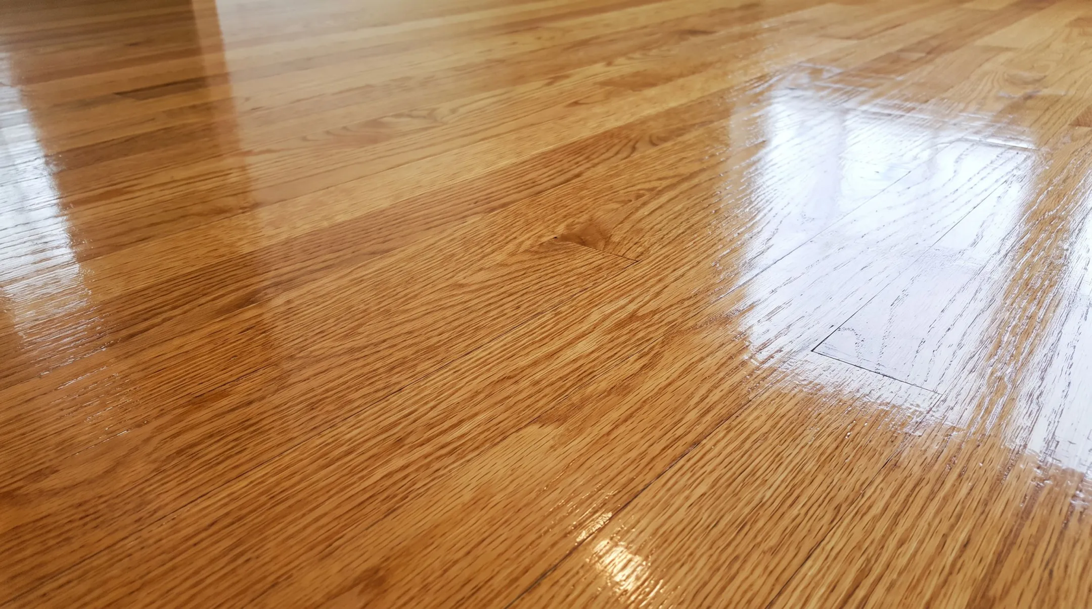 Close-up of hardwood flooring finish showing aluminum oxide protective coating