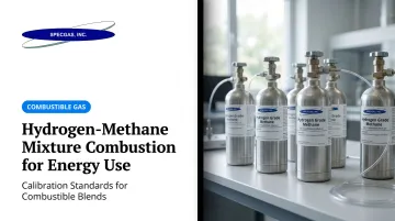 Hydrogen-Methane Mixture Combustion for Energy Use
