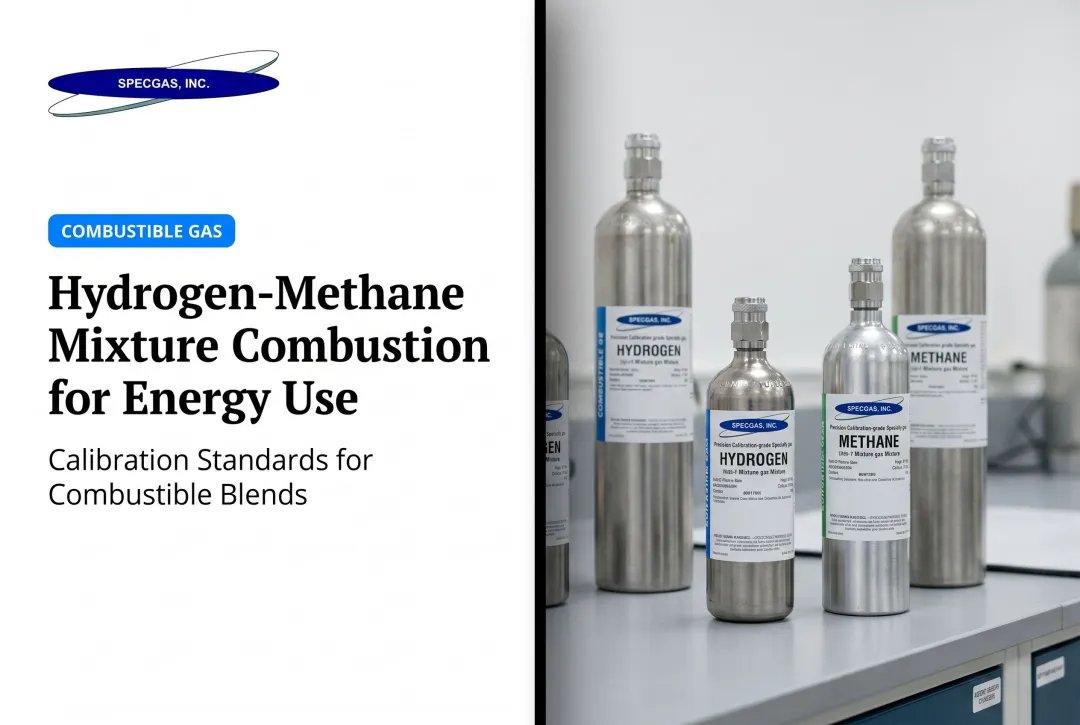 Hydrogen-Methane Mixture Combustion for Energy Use