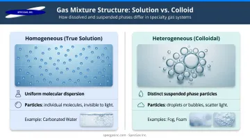 Homogeneous versus heterogeneous liquid-gas mixture comparison infographic