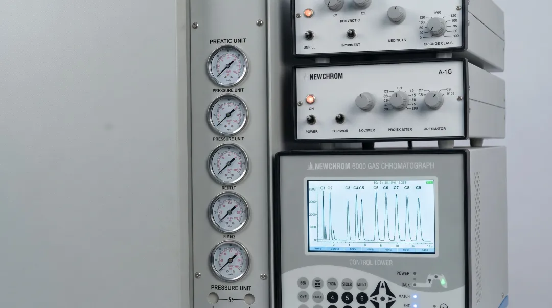 Gas chromatograph instrument analyzing heavy hydrocarbon components in natural gas sample