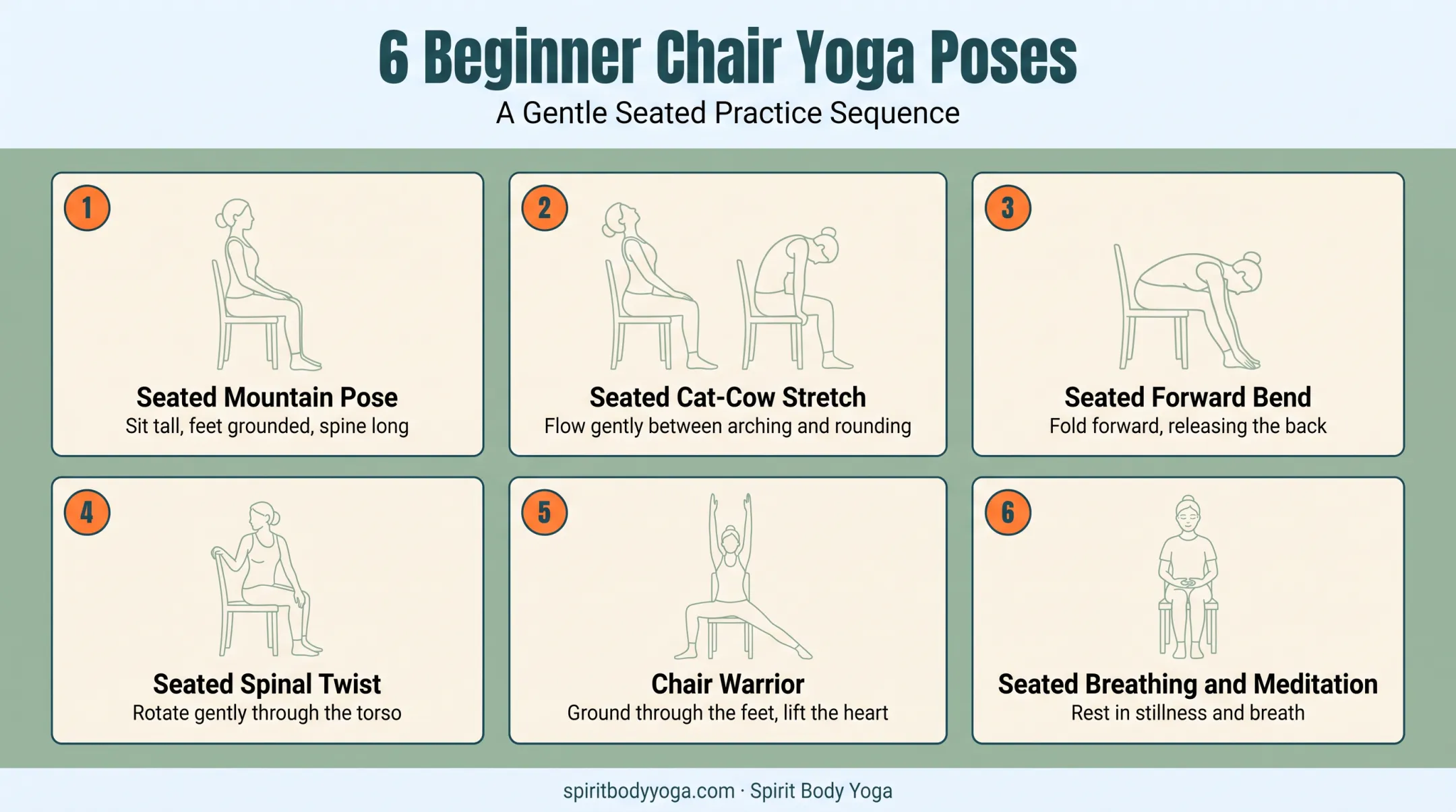 Six beginner chair yoga poses for seniors step-by-step illustration